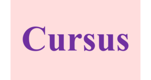 Breek de winter(dip) met bridgeles voor beginners